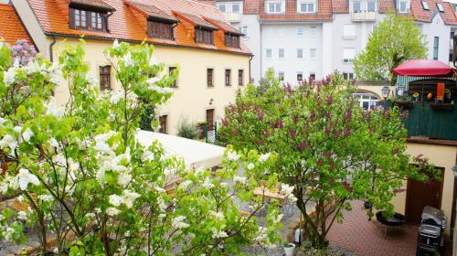 Trobischhof, Drážďany (fotografie 11)