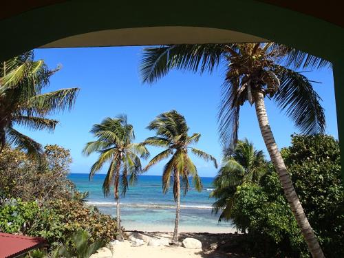 Ababor Suites - image 14