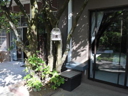 Aed, Woodpecker Guesthouse in Ficksburg