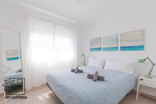 Coral Sun Corralejo Center iRent Fuerteventura 4