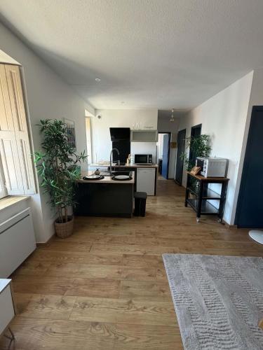 Appartement centre-ville de Narbonne