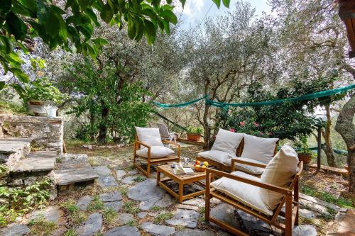 Vacanza tra gli olivi - Camaiore
