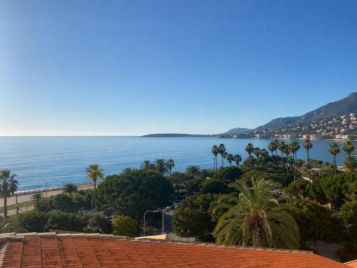 Vue Mer Au Coeur De Menton