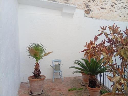 Apartamento de Bea y Dan en El Llanete, Alpandeire in Alpandeire