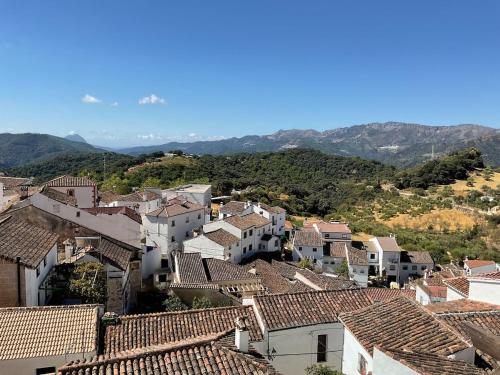Apartamento de Bea y Dan en El Llanete, Alpandeire in Alpandeire