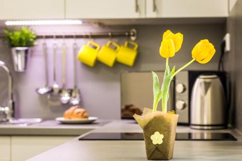 Klauzal Design Apartment 5