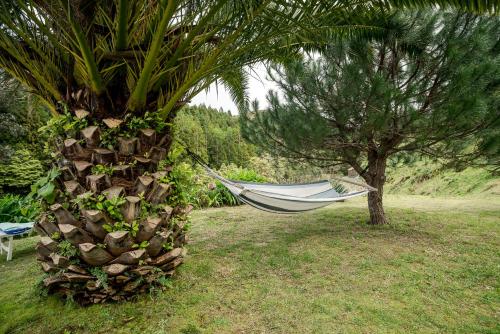 Casa das Almas gîte à louer Glória