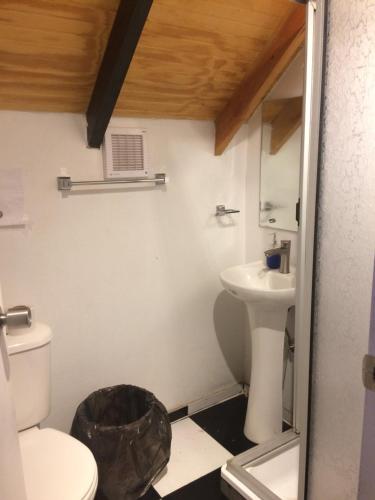 Bathroom, Gecko Hostel in Pucon