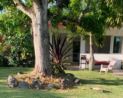Fare 'uo'uo - hébergement à Tahiti