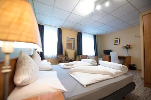 Rheinauer Hof - Das Hotel am Riedweg - image 3