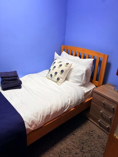 Charming nicely renovated terrace, Liverpool (photo 7)