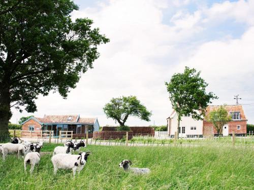 Exterior view, HIgh Ash Farm in Badingham