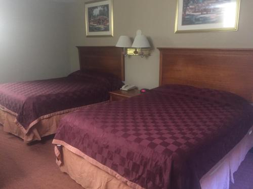 2 queen beds