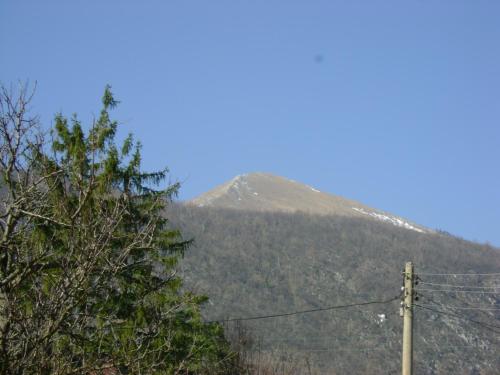 . Holiday House " Family Radivojevic"