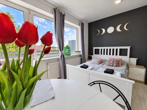 Apartamenty Parkowe nr 10 - Gniew