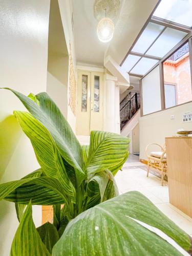 Bubbly Hostel Marrakech 3