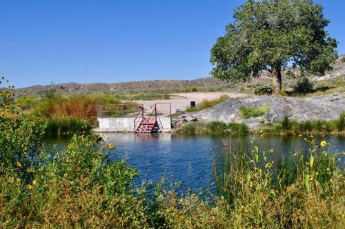 Facilities, Shady Motel in Ursine (NV)