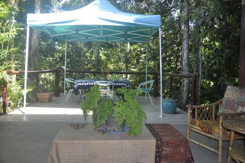 Erkély/terasz, Tropical Bliss Bed and Breakfast in Mena Creek