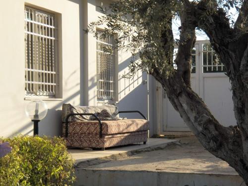 Hage, Auberg-Inn Guesthouse in Jeriko