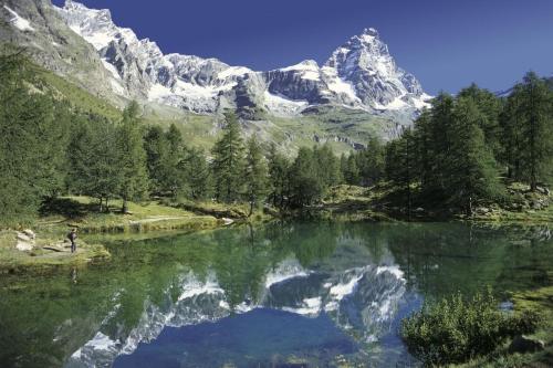 Alpine Dream in Chamois