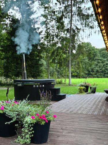 Mežsarga namiņš (Mezsarga namins) in Grozas