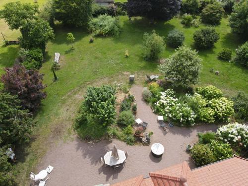 View, Chambre d'hotes Jolie futaie en foret de Troncais in Cerilly