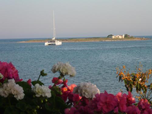  Surfers' Beach House in Artemida