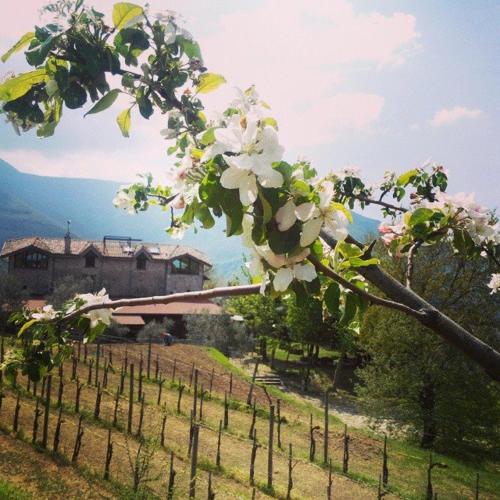  Terranova Agriturismo, Solofra bei Aiello del Sabato