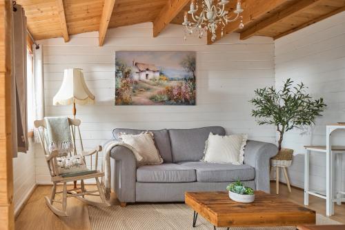 Modern Cabin