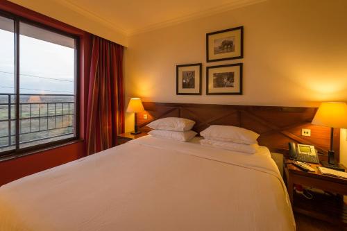 Ole Sereni photo 3
