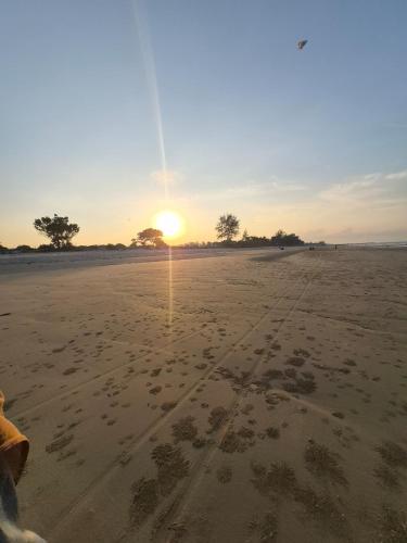 D'Pantai Roomstay Chendering in Pandak Beach