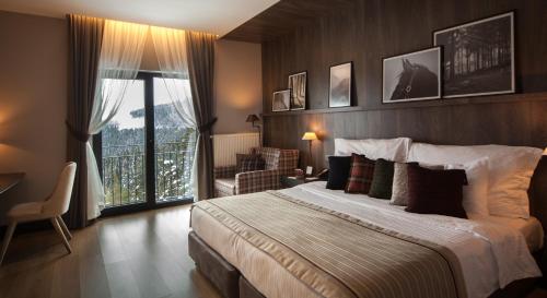 Double or Twin Room with Mountain View