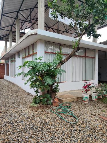 Emilu House