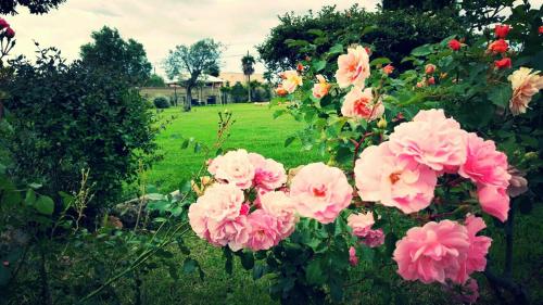 Elegance B&B - image 3