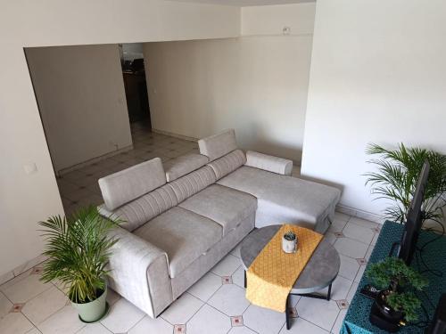 Bright, spacious apartment in the heart of Pointe-à-Pitre - Location saisonnière - Pointe-à-Pitre