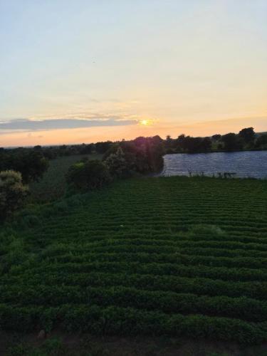 ESCAPE Farmstay in Omkareshwar
