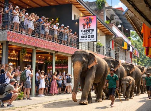 Elepath Lodge Pinnawala-Stay Where Elephants Walk to Bathe - Kegalle