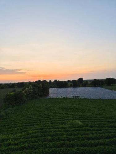 ESCAPE Farmstay in Omkareshwar