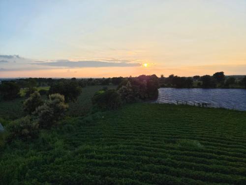 ESCAPE Farmstay in Omkareshwar