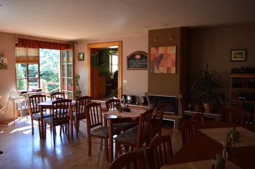 Restoran, Druhy domov in Nový Bor