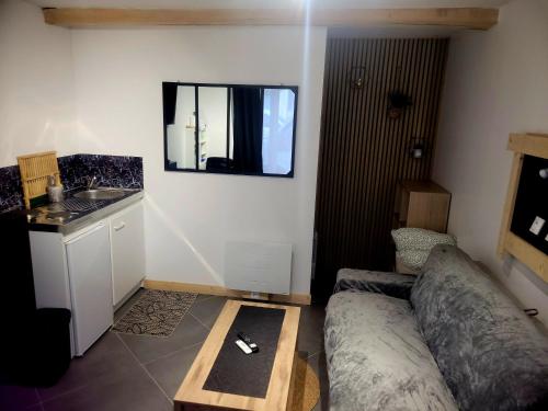 Le Petit Mineur Cosy Studio
