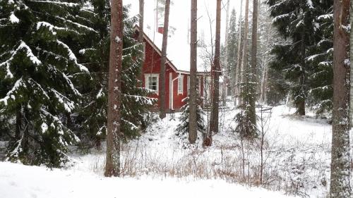 Seilorin Lomakylä - main image