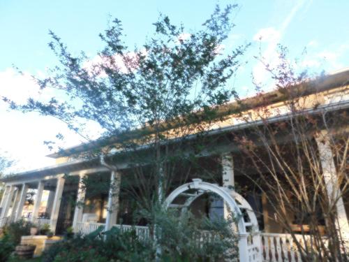 Cassadaga Hotel and Spiritual Center