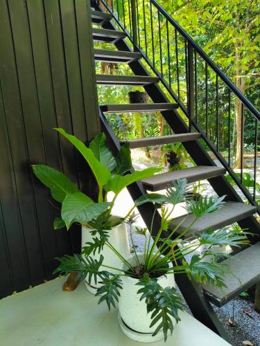 Unterkunft von außen, สถานีน้ำหวาน รีสอร์ท น้ำตกอ้ายเขียว in Phrom Khiri