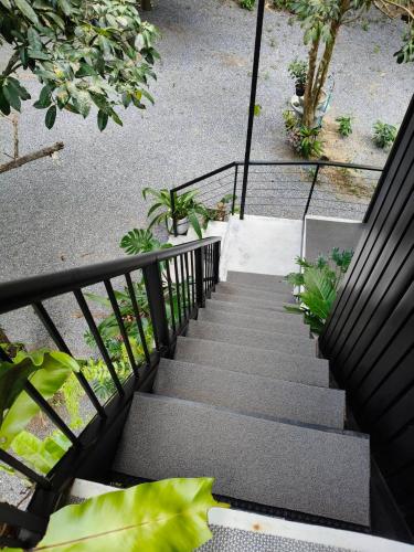 Unterkunft von außen, สถานีน้ำหวาน รีสอร์ท น้ำตกอ้ายเขียว in Phrom Khiri