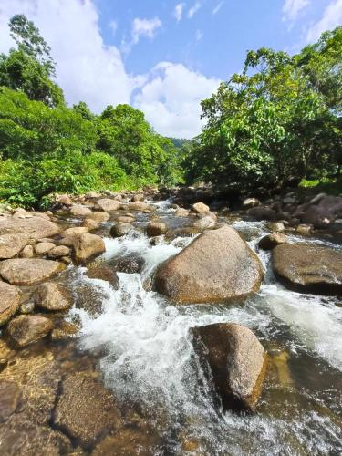 Aussicht, สถานีน้ำหวานรีสอร์ท น้ำตกอ้ายเขียว in Phrom Khiri