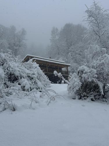 Refugio de Cuentos