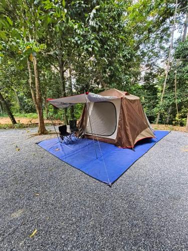 สถานีน้ำหวาน รีสอร์ท น้ำตกอ้ายเขียว - Phatthalung สถานีน้ำหวาน รีสอร์ท น้ำตกอ้ายเขียว - Phatthalung