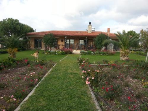 ozbek ciftlik evi guest house in urla turkey 20 reviews price from 36 planet of hotels