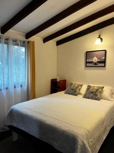 Loft en Pucon